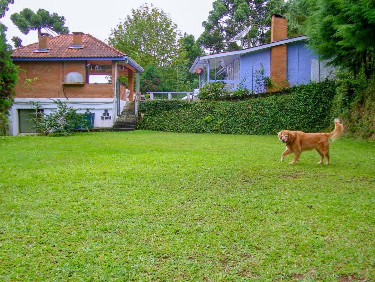 Casa de Férias Parece Um Sonho - - Waze